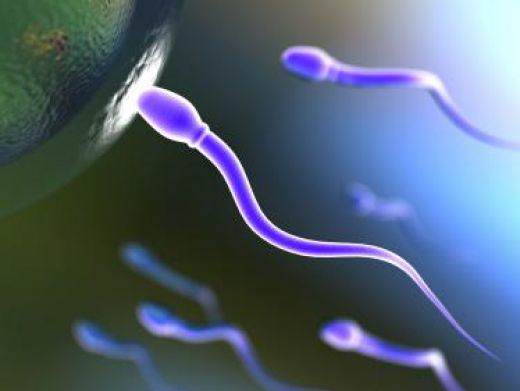 Sperm Donor rights