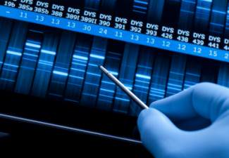 Paternity Testing and Men's Rights