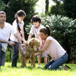 family pet, divorce and pets, divorce attorney san diego, men's legal center