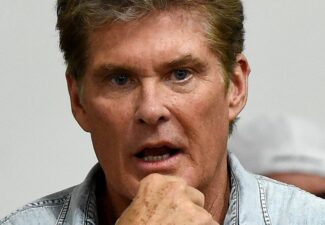 Will Hasselhoff Be Able To Stop Alimony Payments?