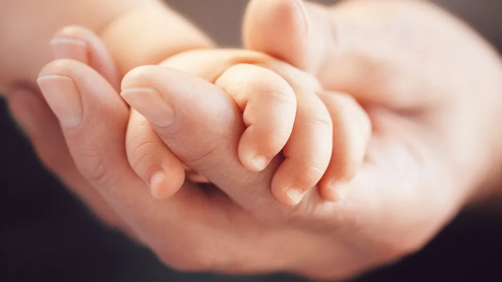 Close-up of an adult hand gently holding a newborn baby's hand against a blurred background.