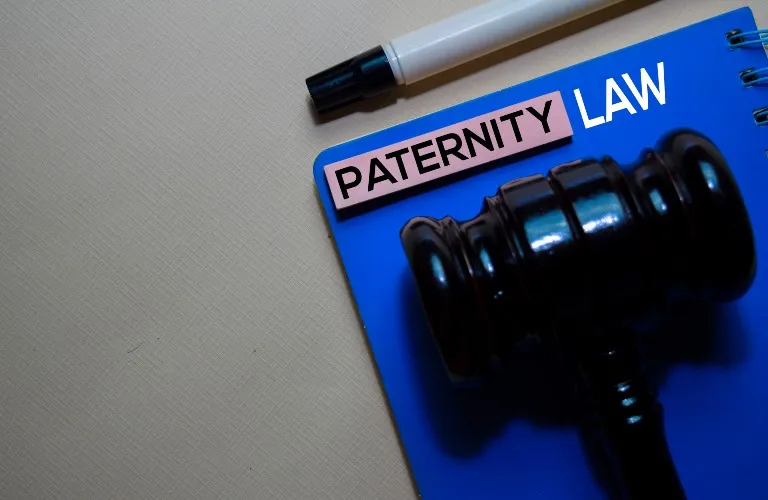 Black judge's gavel on blue folder labeled "Paternity Law" with black marker on beige surface.